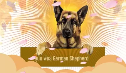 สุนัข พันธุ์ German Shepherd จากศูนย์รับเลี้ยงที่น่าสงสาร